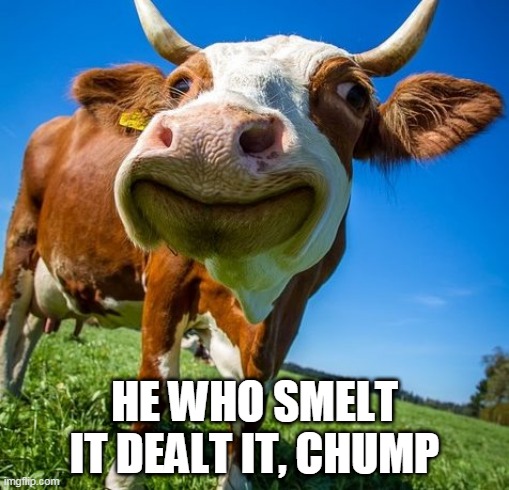 climate cow
