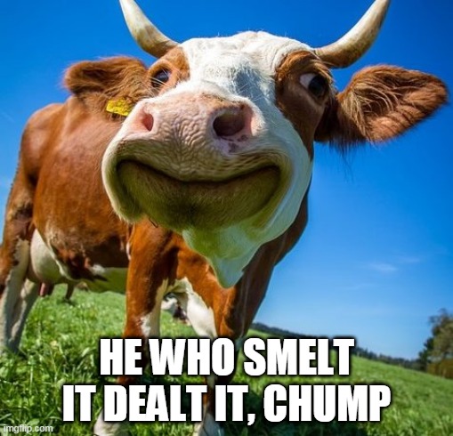 climate cow