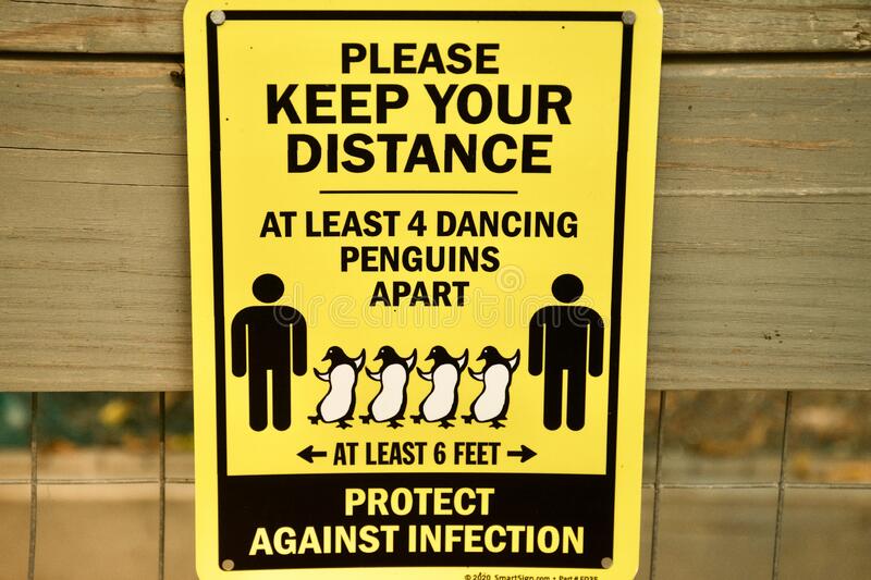 COVID dancing penguins